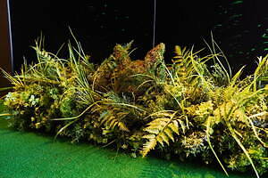 フラグメント デザイン(fragment design) サンダーボルト プロジェクト｜写真20