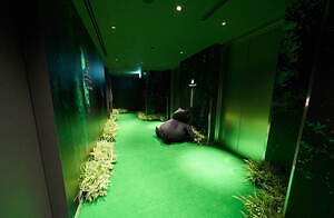 フラグメント デザイン(fragment design) サンダーボルト プロジェクト｜写真39