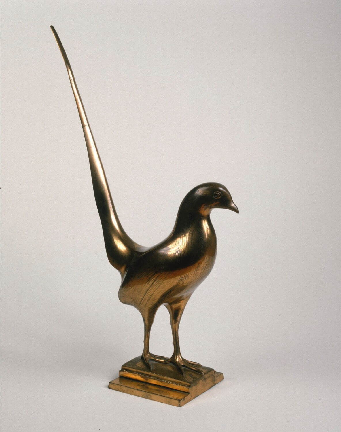 フランソワ・ポンポン《錦鶏(キンケイ)》1933年 磨かれたブロンズ ディジョン美術館(パリ、国立自然史博物館より寄託)