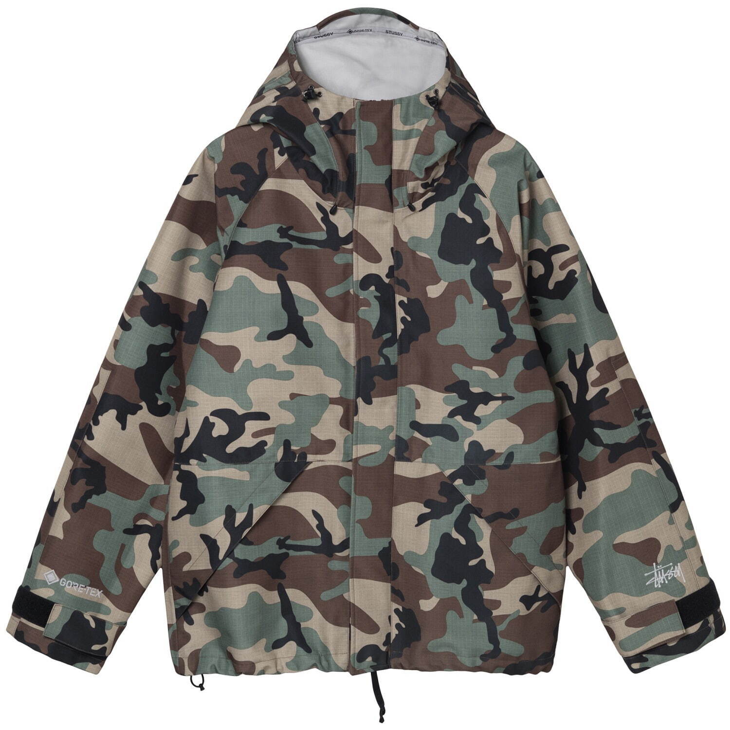 STUSSY GORE-TEX ダウン