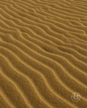 ナナミカ(nanamica) 2022年春夏メンズコレクション  - 写真51