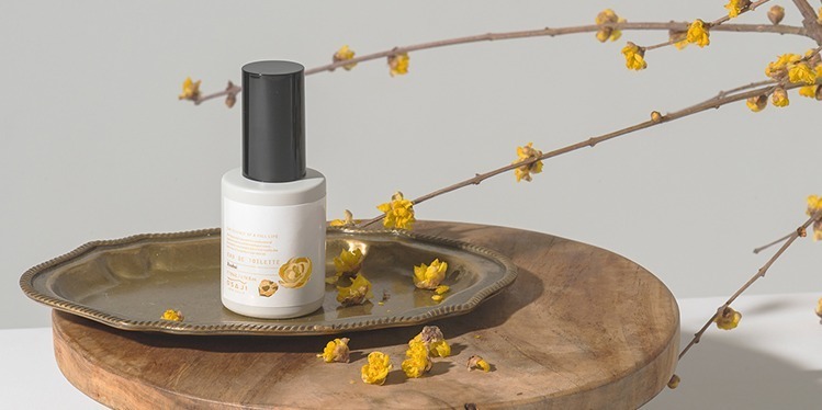 オサジ2021年冬フレグランスは“蝋梅の香り” - 甘い蝋梅の花ベースの軽やかな香り立ち｜写真3