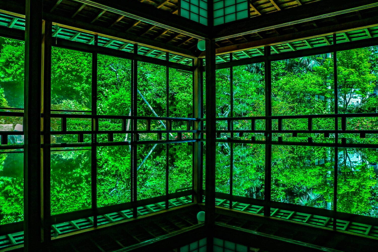 “まるで水鏡”石川・和倉温泉の「御便殿」をライトアップ、ご当地スイーツでティータイムも｜写真5