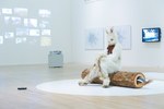 現代社会をアートにする「うさぎスマッシュ展 世界に触れる方法(デザイン)」東京都現代美術館で開催｜写真14