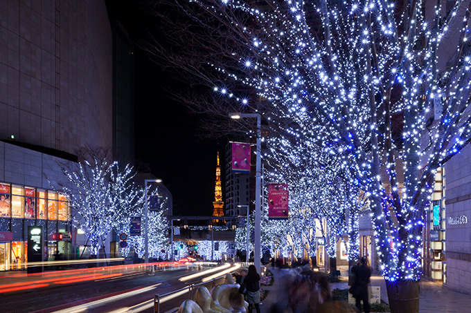 【動画公開】六本木ヒルズ、全クリスマスイルミネーション点灯 - けやき坂など見どころチェック｜写真10