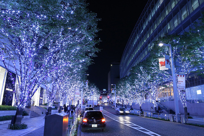 【動画公開】六本木ヒルズ、全クリスマスイルミネーション点灯 - けやき坂など見どころチェック | 写真