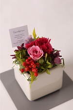 “ショートケーキ缶”の自動販売機が埼玉に、苺ティラミス＆シャインマスカットなど全4種｜写真6