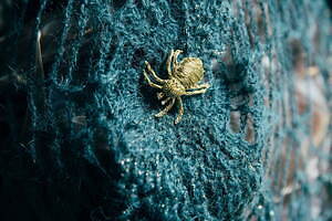 ハザマ(ha | za | ma) 2021-22年秋冬ウィメンズ&メンズコレクション  - 写真26