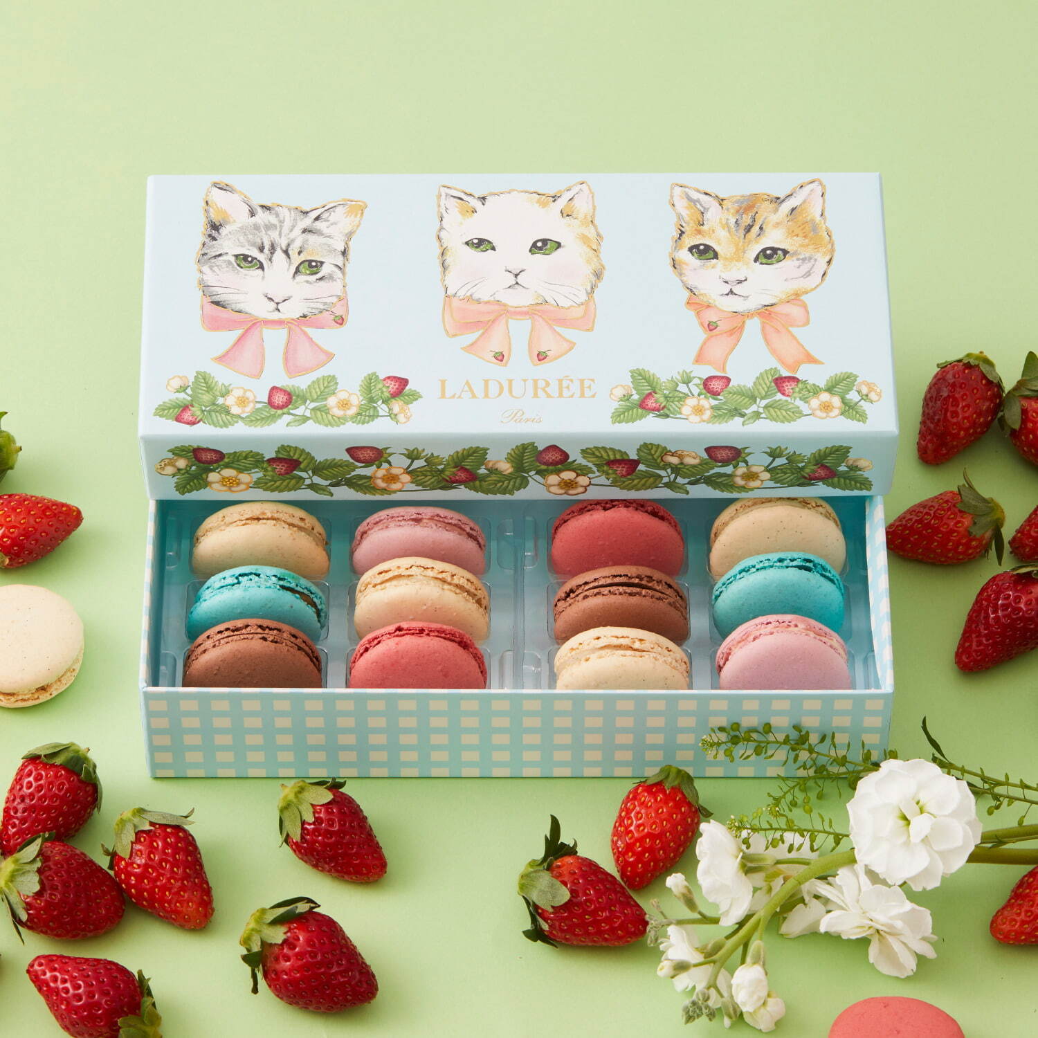 ラデュレのバレンタイン2022“猫＆イチゴ”を描いたカラフルマカロンボックス、苺チョコレートも｜写真2