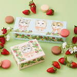 ラデュレのバレンタイン2022“猫＆イチゴ”を描いたカラフルマカロンボックス、苺チョコレートも｜写真1