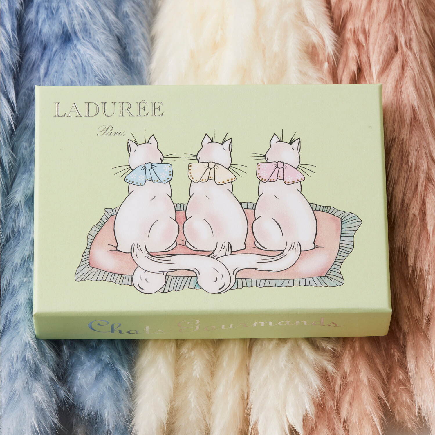 ラデュレのバレンタイン2022“猫＆イチゴ”を描いたカラフルマカロンボックス、苺チョコレートも｜写真8