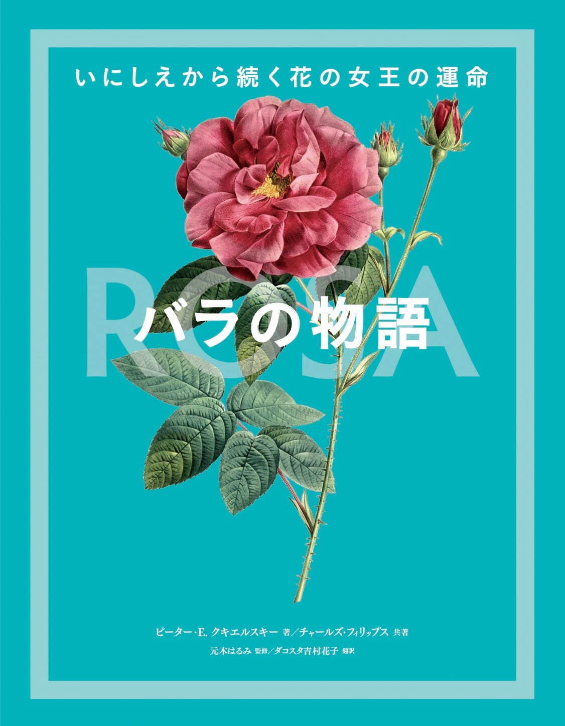 “貴重なバラ辞典”『バラの物語 いにしえから続く花の女王の運命』絵画や歴史から、バラの魅力を紹介｜写真1