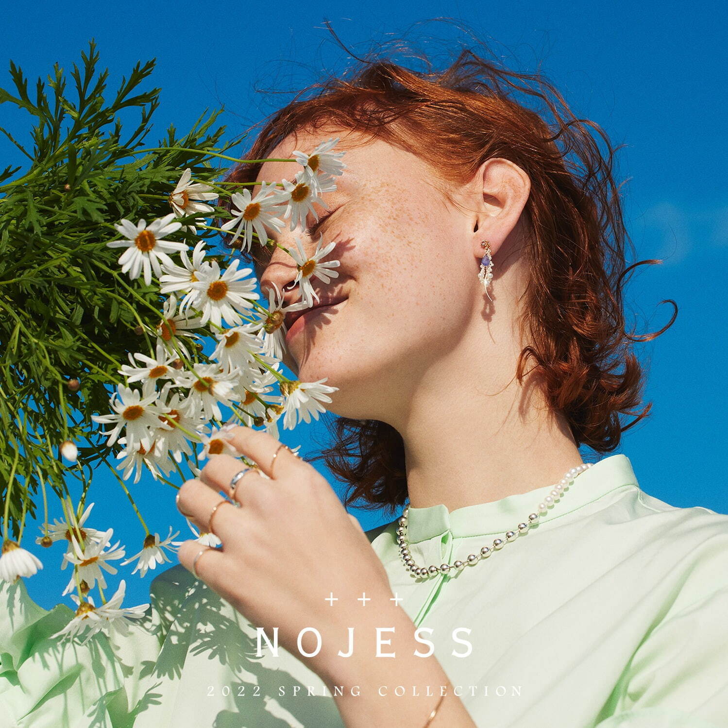 ノジェス(NOJESS) 春の花｜写真1