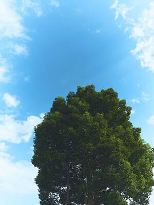 ファクトタム(FACTOTUM) 2022年春夏メンズコレクション  - 写真25