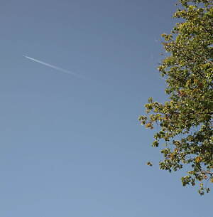 ビルケンシュトック(BIRKENSTOCK) 2022年春夏ウィメンズ&メンズコレクション  - 写真2