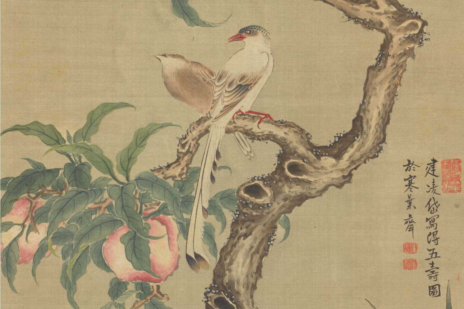 「建部凌岱展」板橋区立美術館で - 江戸中期に歌人や国文学者として活躍した凌岱、その画業を中心に紹介