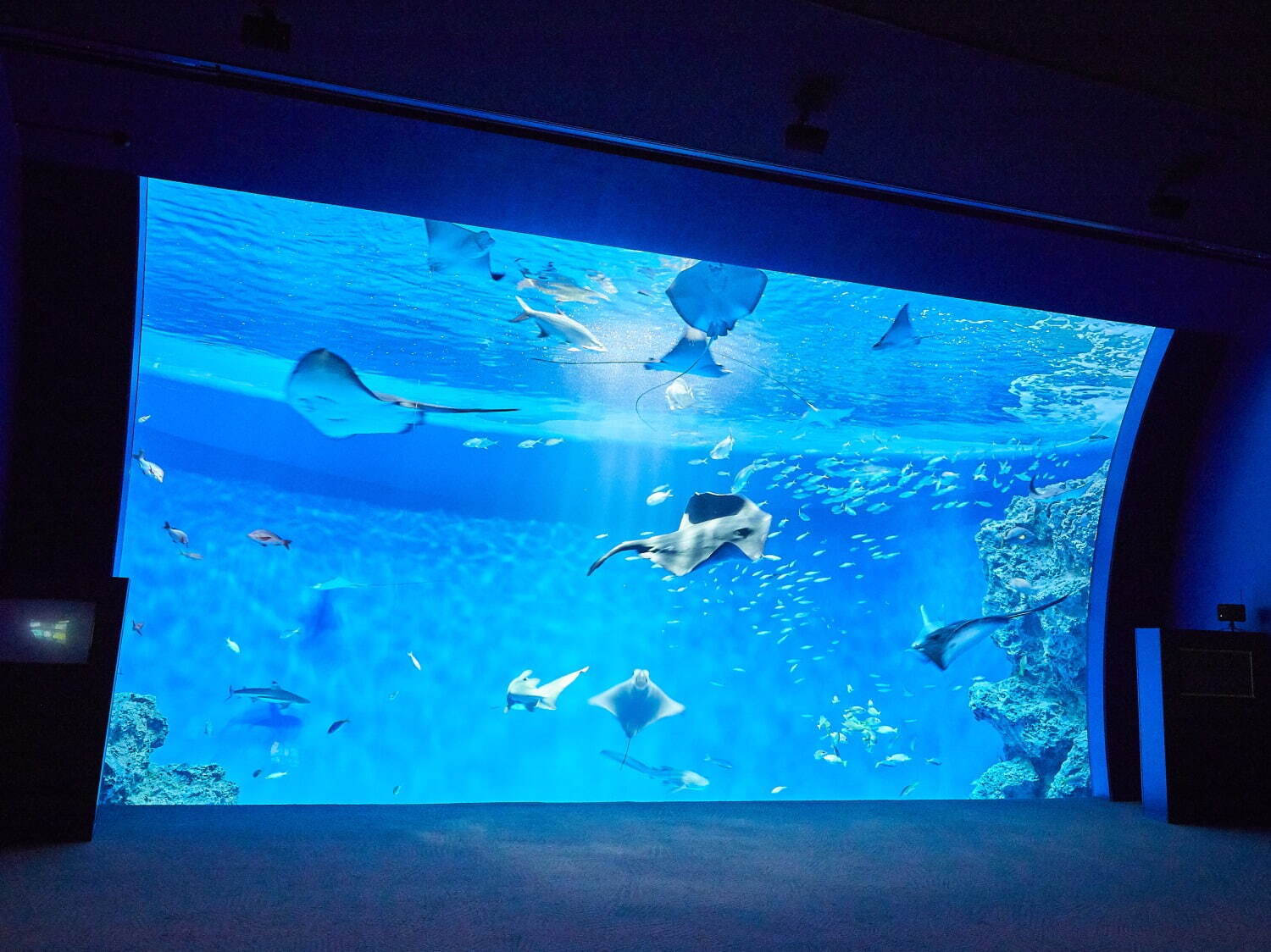 須磨海浜水族園・海浜公園の再整備、新水族館「神戸須磨シーワールド」を核にホテルやにぎわい施設も｜写真41