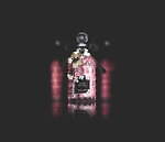 ゲラン(GUERLAIN) チェリーブロッサム｜写真9