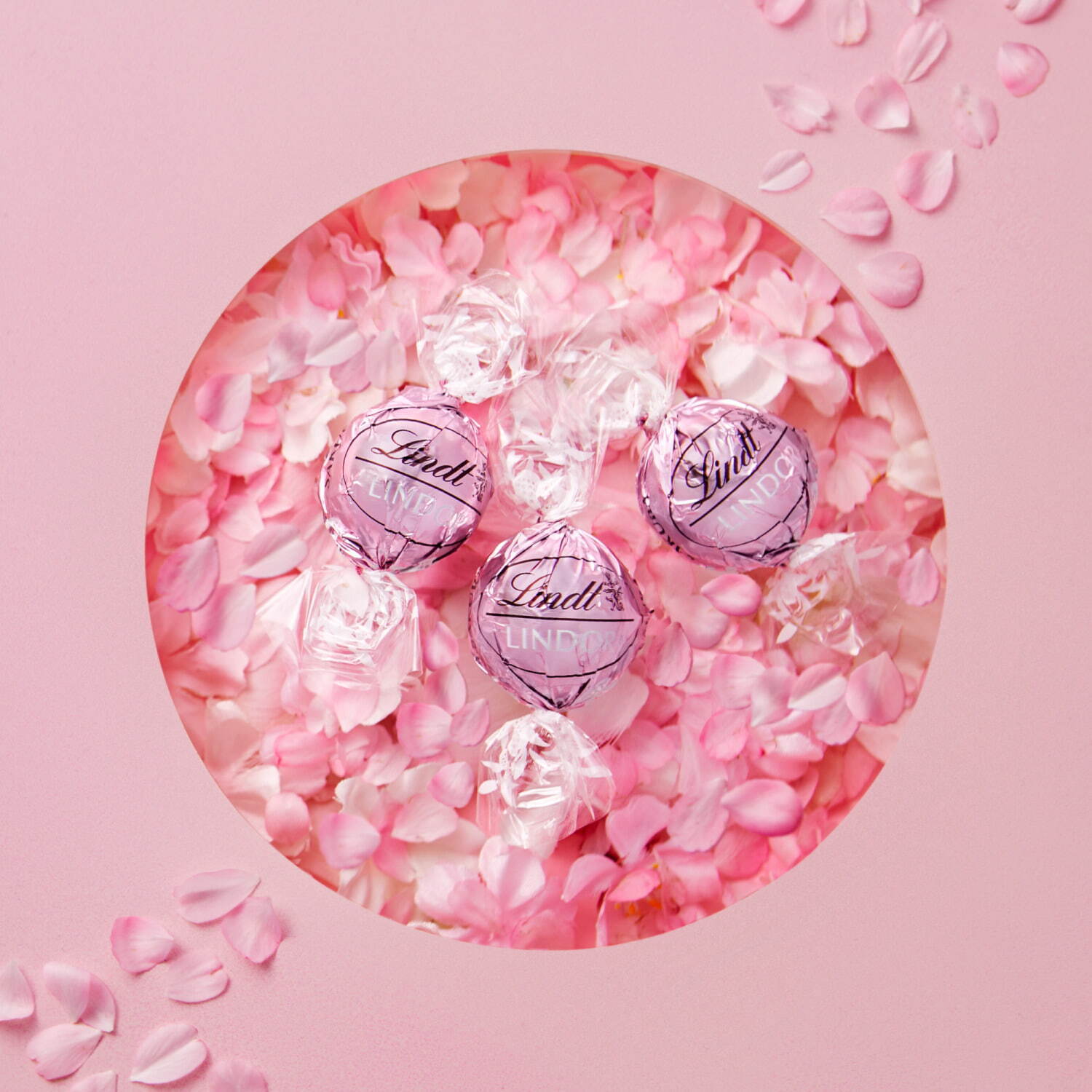 リンツ“世界初”「リンドール さくら」、桜風味のホワイトチョコレートで“日本の春”を表現 ファッションプレス