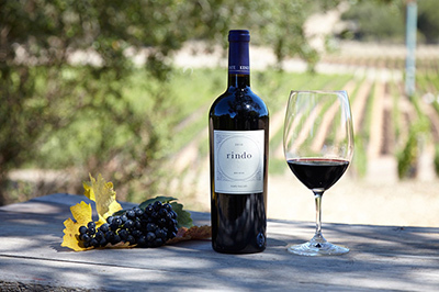ワイン KENZO ESTATE Cabernet Sauvignon 2010 2010 Kenzo Estate Ai Cabernet Sauvignon, Napa Valley, USA