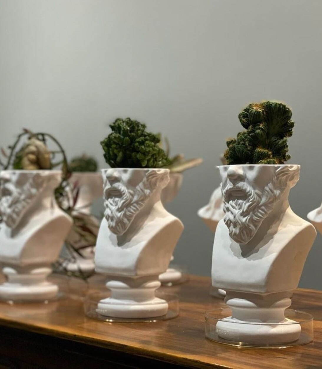 石膏像×多肉植物の新ブランド「エメス」ミロのヴィーナスやソクラテスを模ったカクタスポット｜写真12