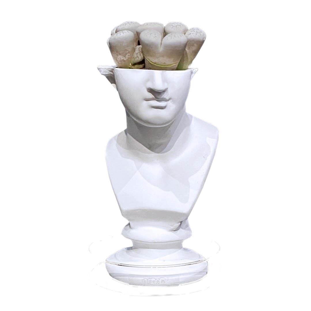 石膏像×多肉植物の新ブランド「エメス」ミロのヴィーナスやソクラテスを模ったカクタスポット｜写真4
