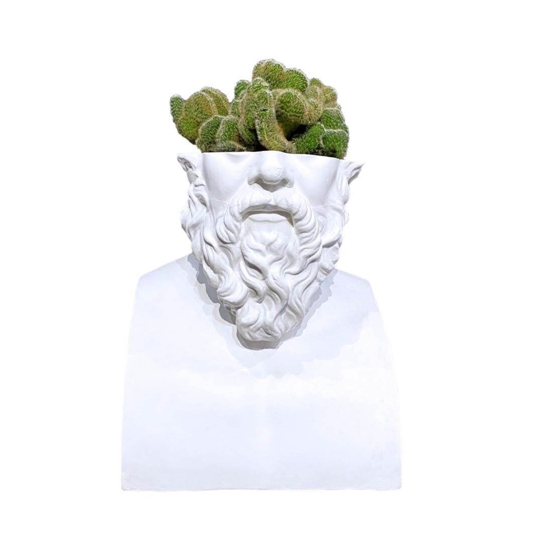石膏像×多肉植物の新ブランド「エメス」ミロのヴィーナスやソクラテスを模ったカクタスポット｜写真2