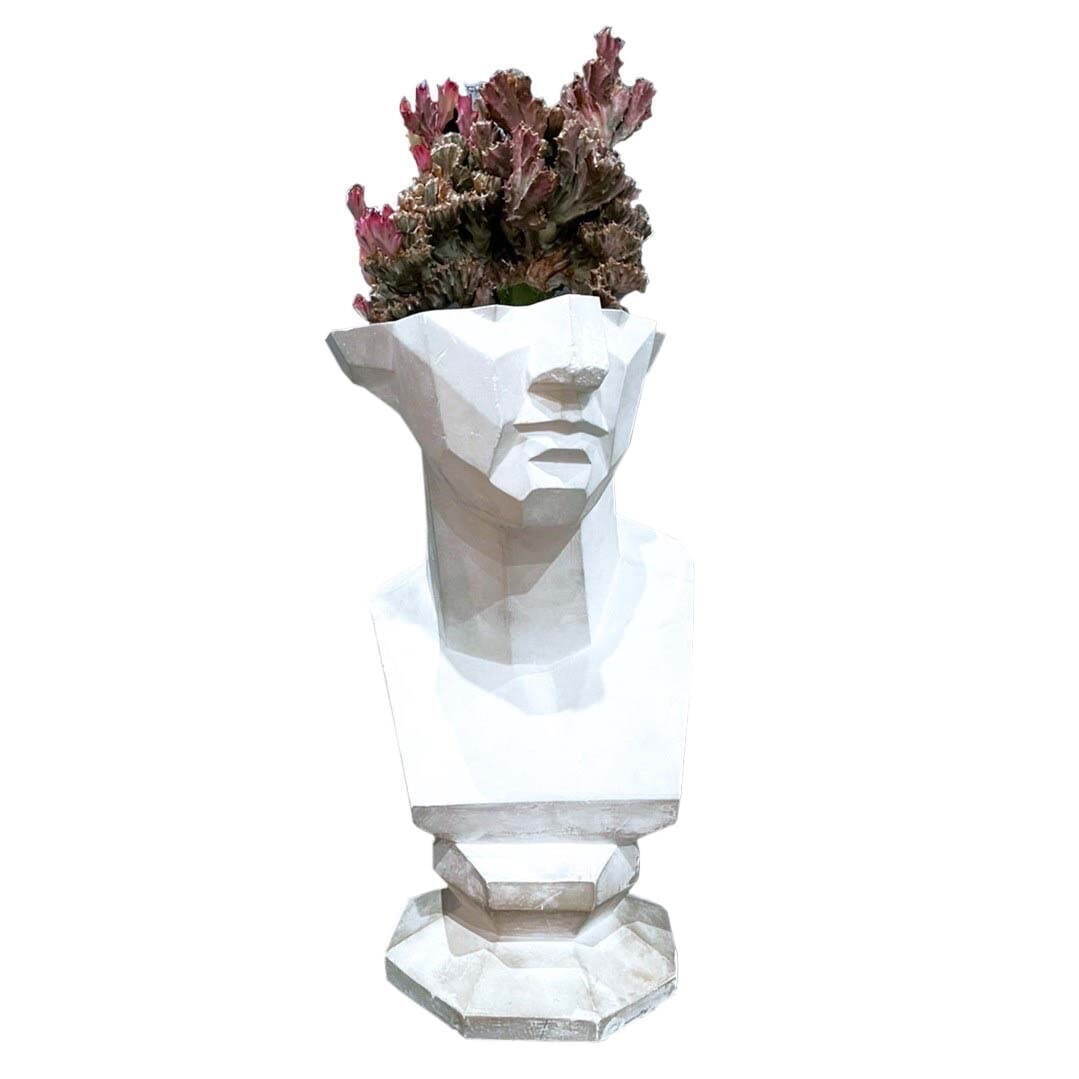 石膏像×多肉植物の新ブランド「エメス」ミロのヴィーナスやソクラテスを模ったカクタスポット｜写真6