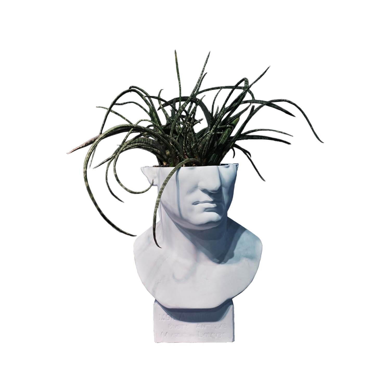 石膏像×多肉植物の新ブランド「エメス」ミロのヴィーナスやソクラテスを模ったカクタスポット｜写真9
