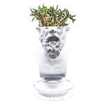 石膏像×多肉植物の新ブランド「エメス」ミロのヴィーナスやソクラテスを模ったカクタスポット｜写真1