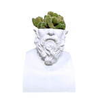 石膏像×多肉植物の新ブランド「エメス」ミロのヴィーナスやソクラテスを模ったカクタスポット｜写真2