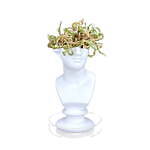 石膏像×多肉植物の新ブランド「エメス」ミロのヴィーナスやソクラテスを模ったカクタスポット｜写真3