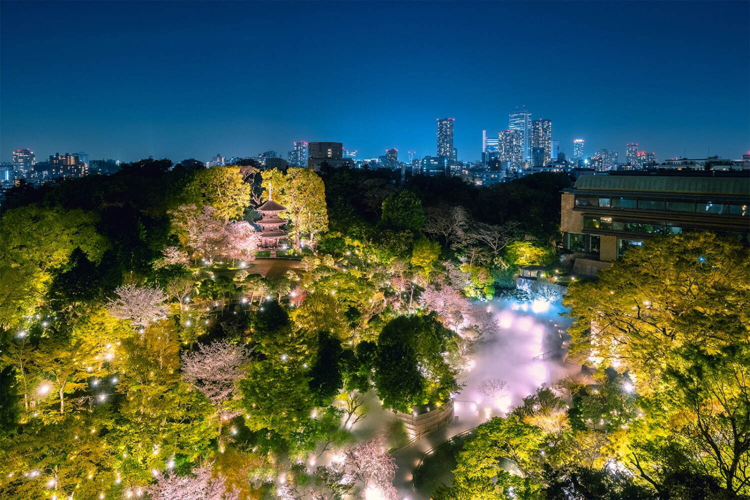 ホテル椿山荘東京で桜の庭園演出「夜桜雲海」夜はライトアップで幻想的な夜桜鑑賞｜写真2