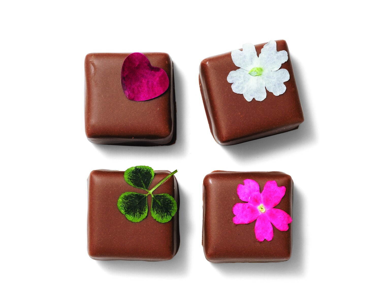 “食べられる花”のバレンタインチョコレート、高島屋限定でエディブルフラワー専門店と3ブランドがコラボ｜写真14