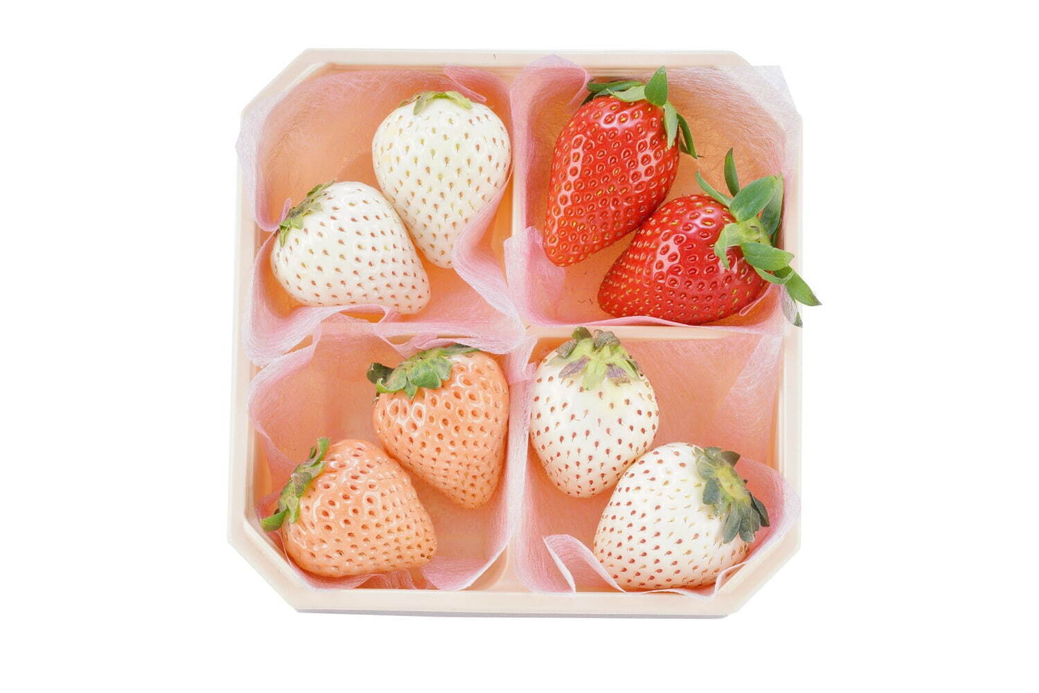 ＜横浜水信＞いちご 4 種食べ比べセット 2,500円＜第1期・会場限定＞