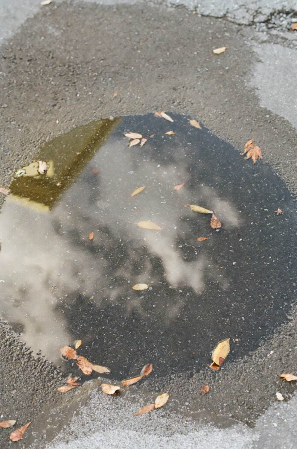 ラウンダバウト(roundabout) 2022年春夏メンズコレクション  - 写真3