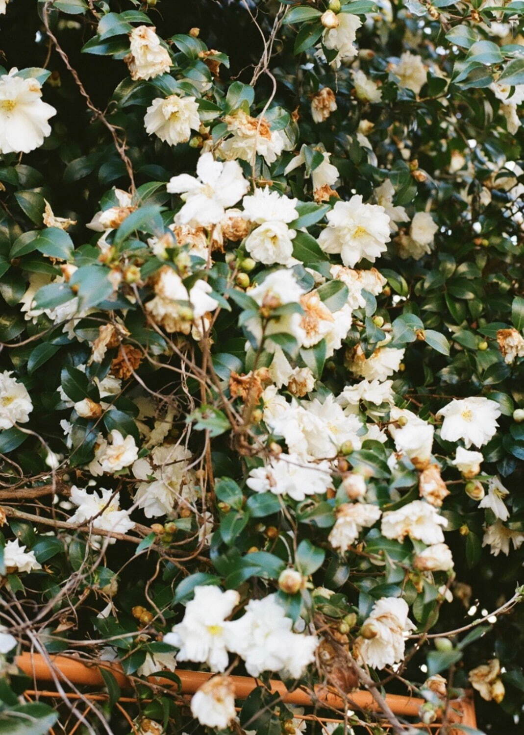 ラウンダバウト(roundabout) 2022年春夏メンズコレクション  - 写真9