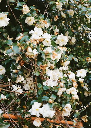 ラウンダバウト(roundabout) 2022年春夏メンズコレクション  - 写真9