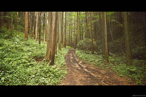 ファッチーズ(FACCIES) 2022年春夏メンズコレクション  - 写真23