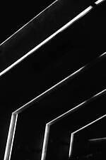 ミューラル 2022年春夏コレクション - 花ひとひらの優雅さ｜写真14