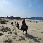 福岡・海の中道海浜公園「光と風の広場」グランピング施設やBBQ場、巨大アスレチックタワー完成で一新｜写真5