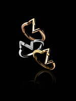 ルイ・ヴィトン(LOUIS VUITTON) LV ヴォルト｜写真5