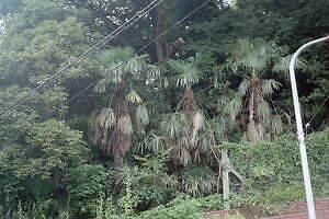 コーヘン(COOHEM) 2022年春夏ウィメンズ&メンズコレクション  - 写真32