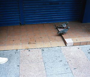 コーヘン(COOHEM) 2022年春夏ウィメンズ&メンズコレクション  - 写真34