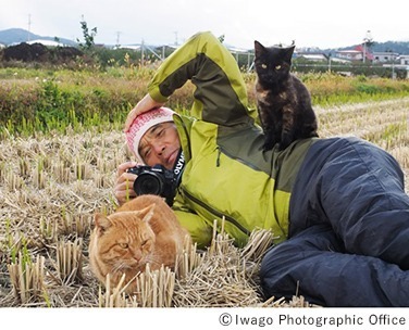岩合光昭写真展 「こねこ」日本橋三越本店で、世界各地の子猫やトラの写真約150点を展示｜写真2