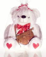 ロエベ(LOEWE) アマソナ ゴヤ｜写真1