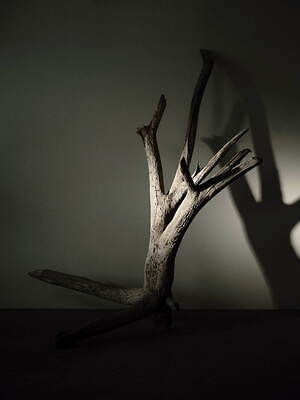 ネプラ(NEPLA.) 2022-23年秋冬ウィメンズコレクション  - 写真19