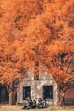 アシードンクラウド 2022年春夏コレクション - 輪舞と祈り｜写真13