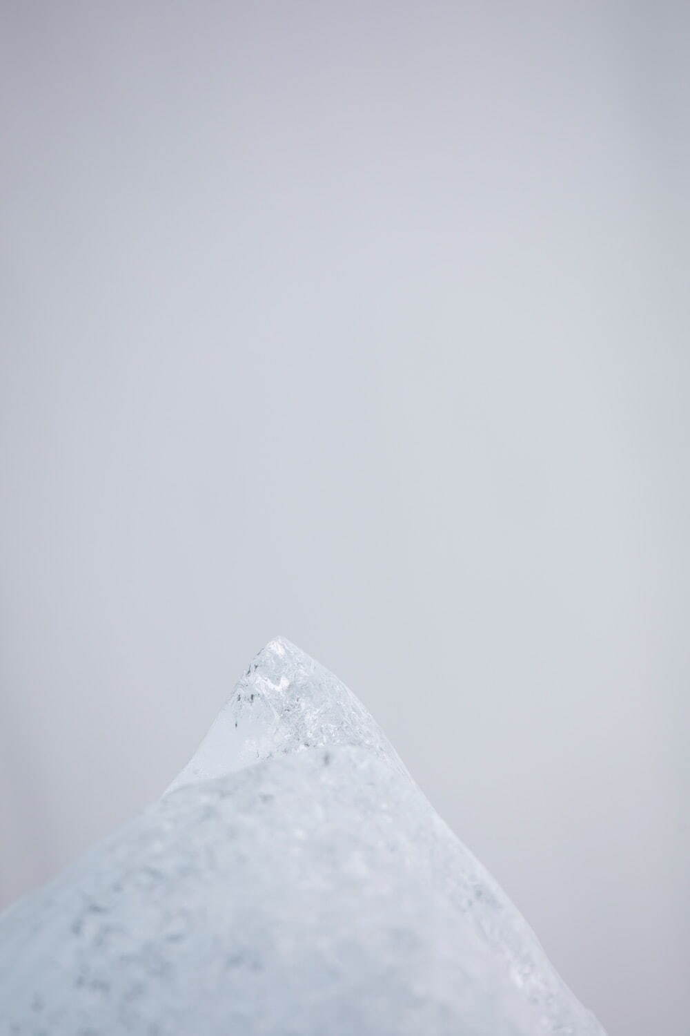 川内倫子《無題》(シリーズ「M/E」より) 2019年