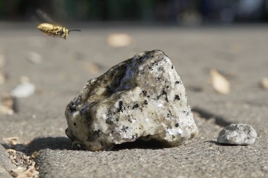 東京オペラシティアートギャラリー